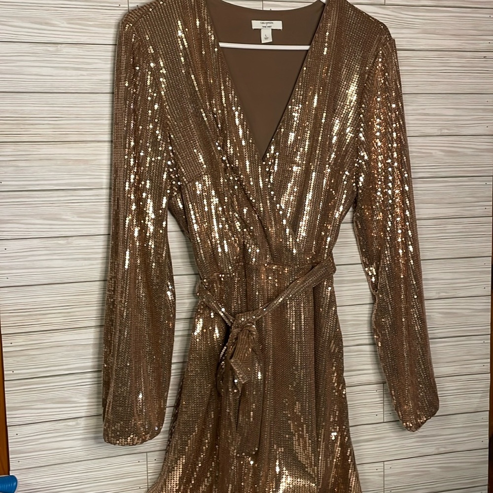 Cara Santana X Nine West Rosegold, festive winter dress size large